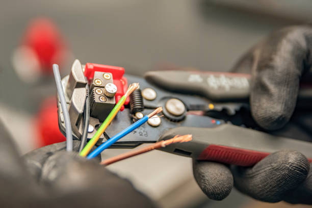 Best Electric Panel Repair  in Rainbow Lakes Estates, FL