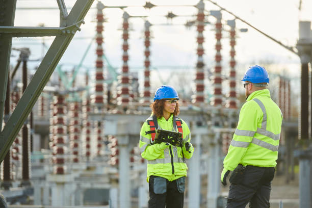 Best Affordable Electrician  in Rainbow Lakes Estates, FL